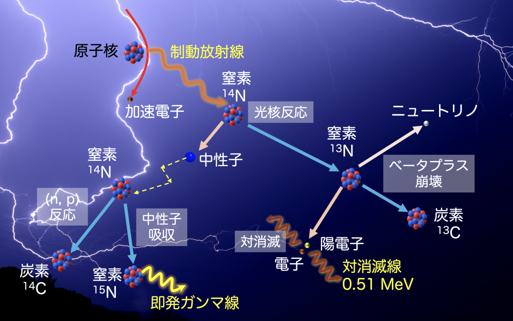 図3: 雷が引き起こす光核反応