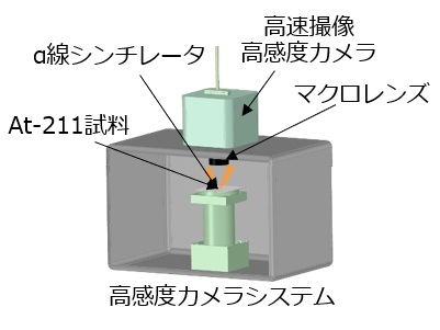 図2: α線内用療法薬分析システム(NuS-Alpha)概念図