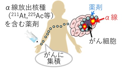図1: RI内用療法概念図