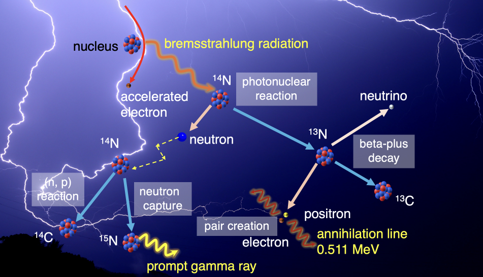 Fig. 3: Schematic illustration of photonuclear reactions triggered by lightning and the subsequent processes.