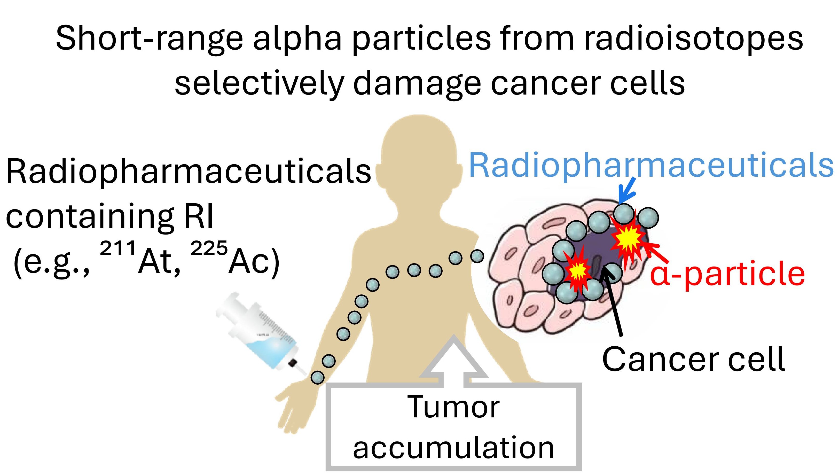 Fig. 1: A schematic diagram of Targeted Alpha Therapy (TAT).