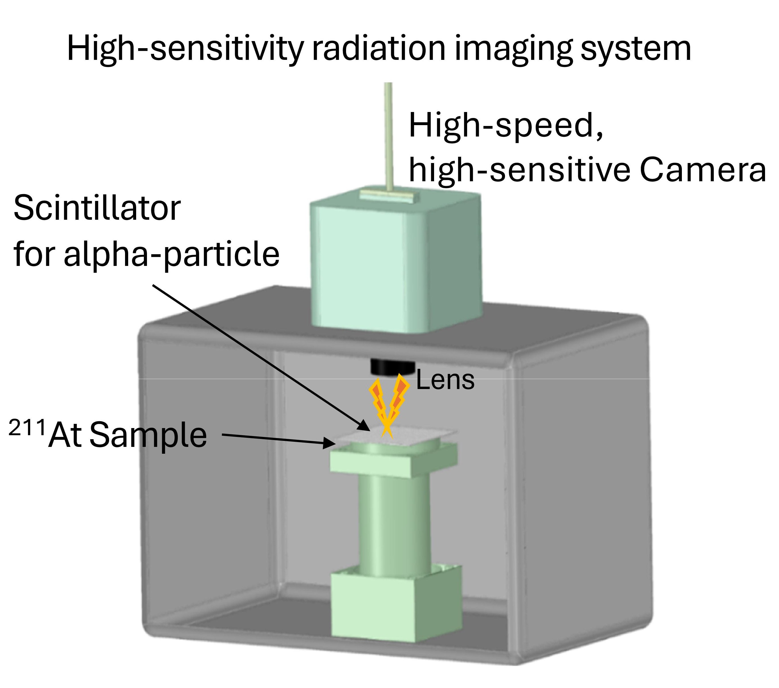 Fig. 2: A schematic diagram of the integrated radiopharmaceuticals(<sup>211</sup>At) analysis system, Nus-Alpha.